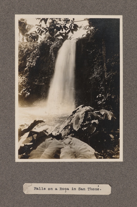 Falls on a Roça in San Thomé