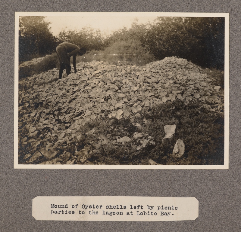 Mound of oyster shells left by picnic parties to the lagoon at Lobito Bay