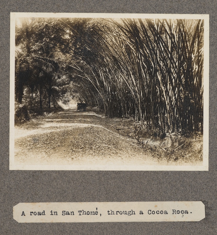 A road in San Tomè, through a Cocoa Roca