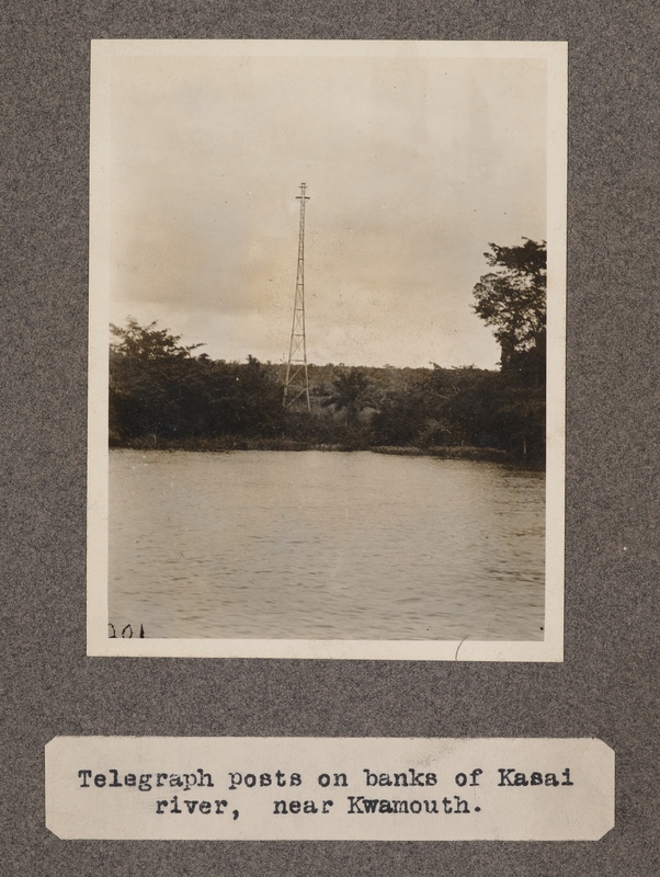 Telegraph posts on banks of Kasai River, near Kwamouth