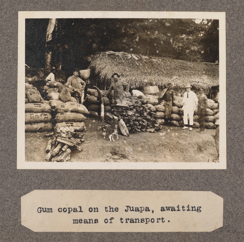 Gum copal on the Juapa, awaiting means of transport