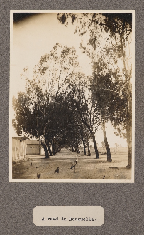 A road in Benguella