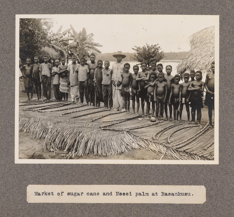 Market of sugar cane and Nsesi palm at Basankusu