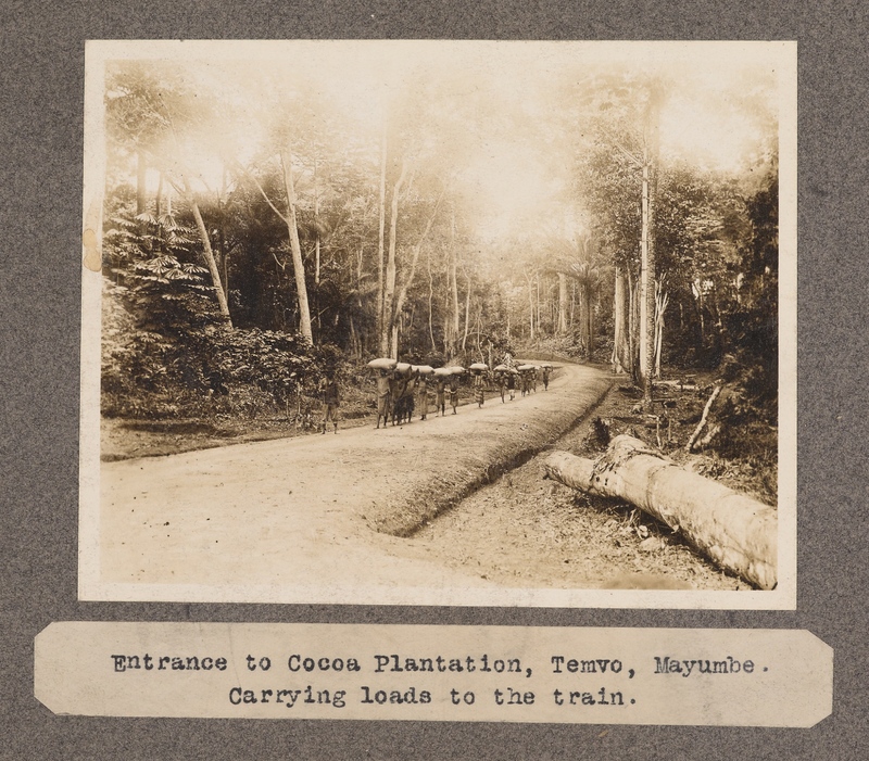 Entrance to Cocoa Plantation, Temvo, Mayumbe. Carrying loads to the train