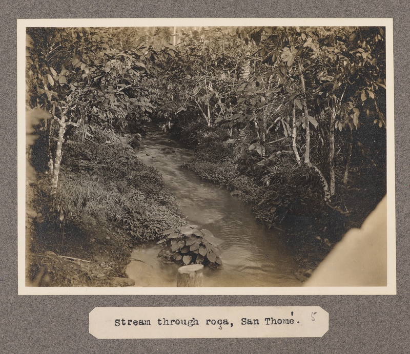 Stream through Roca, San Tomè.