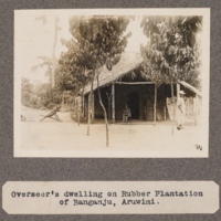 Overseer's dwelling on rubber plantation of Banganju, Aruwimi