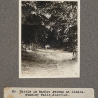 Mr. Harris in bamboo avenue at Lisala, Stanley Falls District