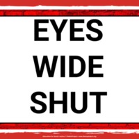 eyes-wide-shut-slides.pdf