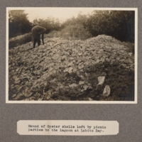 Mound of oyster shells left by picnic parties to the lagoon at Lobito Bay