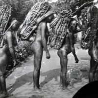 Carriers of Culture: Women, Food and Power from the Congo Basin, Museum of Archaeology and Anthropology, Cambridge University (October 2016 – March 2017)