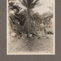 Bolobo fishers, with their produce for sale at Leopoldville