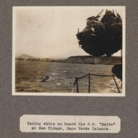 Taking skins on board the S. S. Zaire at San Thiago, Cape Verde Islands