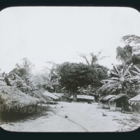 Village in the Forest