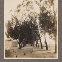 A road in Benguella