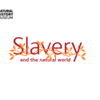 2007 NHM Slavery and the Natural World Educational Worksheet.pdf