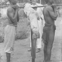 John Harris with Two African Men Holding a Large Fish