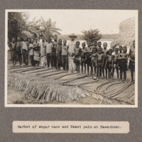 Market of sugar cane and Nsesi palm at Basankusu