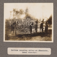 Natives pounding rubber at Shamiombo, Kasai District